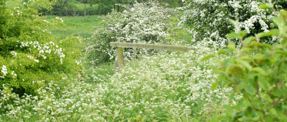 Vignette "Protéger et valoriser le patrimoine naturel de Normandie"