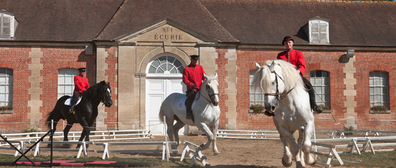 Vignette "Organismes normands de formation dans le domaine de la filière équine"